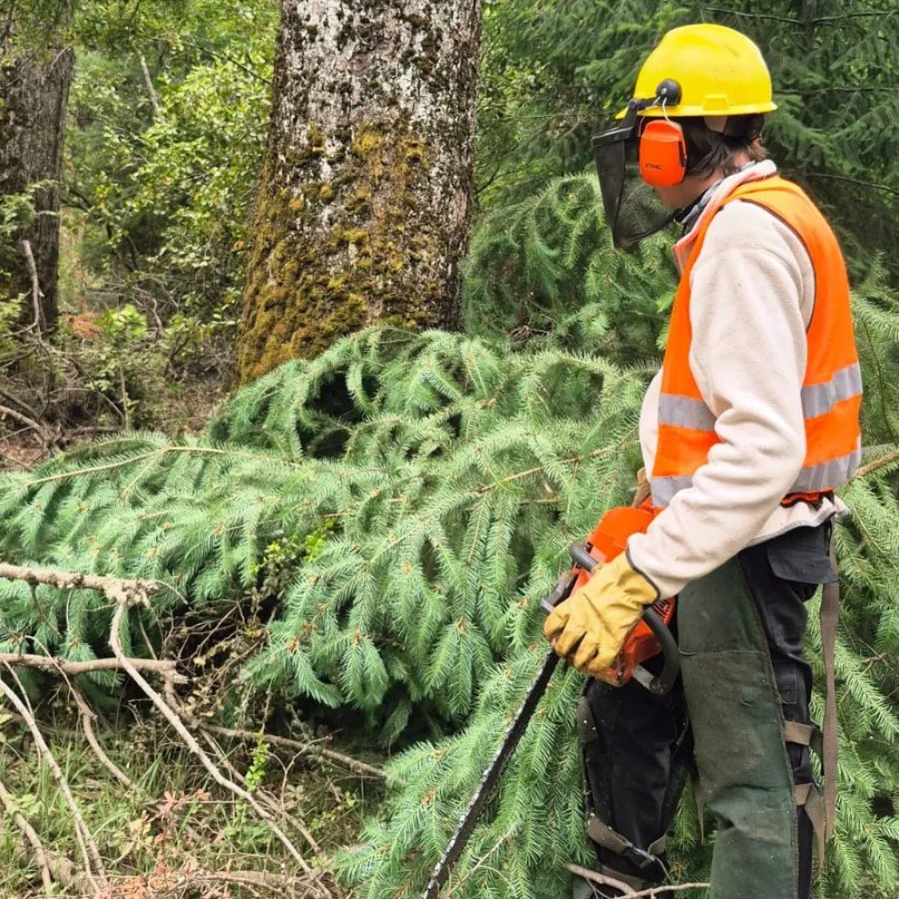El objetivo es preservar las especies nativas en las zonas del Parque Nacional Nahuel Huapi. Foto: gentileza.