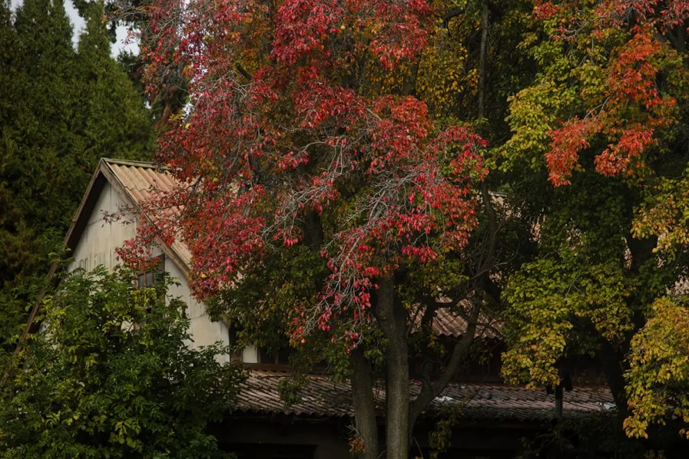 El domingo de Pascuas, la máxima será de 12° y mucho sol. Foto: Marcelo Martínez.