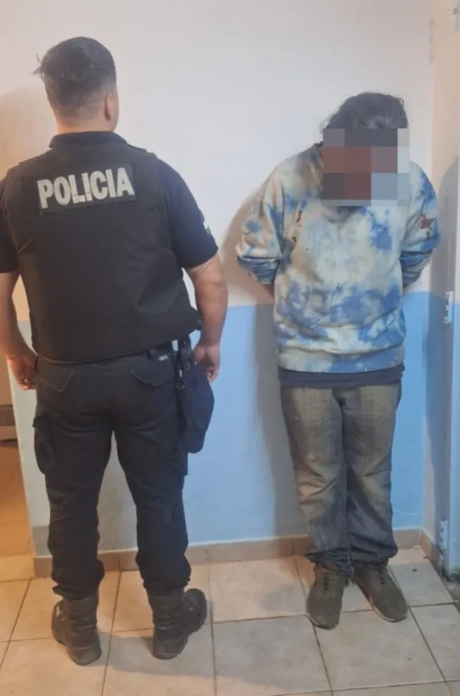 El hombre fue sorprendido cuando sustraía placas OSB del predio de un supermecado. Foto: Policía de Río Negro.