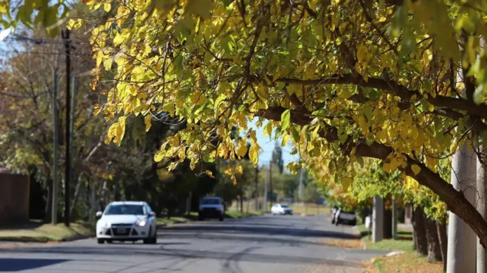 Jornada otoñal cálida en el Alto Valle.