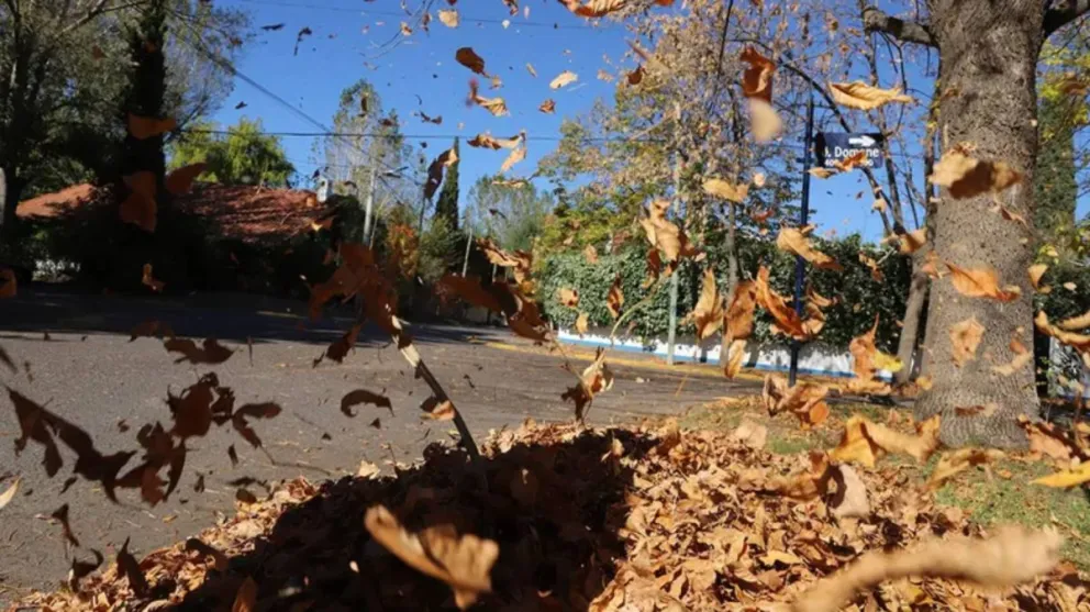 El otoño continúa con temperaturas cálidas en la región.