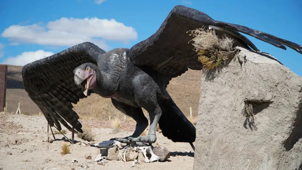 El Paleoparque de Comallo abre sus puertas de martes a domingo, de 10 a 14 y de 16 a 20. Foto gentileza 