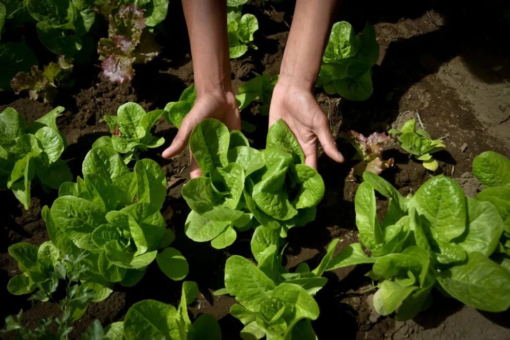 La actividad se desarrollará el próximo 23 de abril de 2026, de 9:00 a 12:00 horas. Foto: Marcelo Martínez.