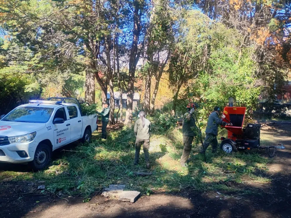 Los guardabosques municipales realizan trabajos de mantenimiento en la zona. Foto: Municipalidad de Bariloche.