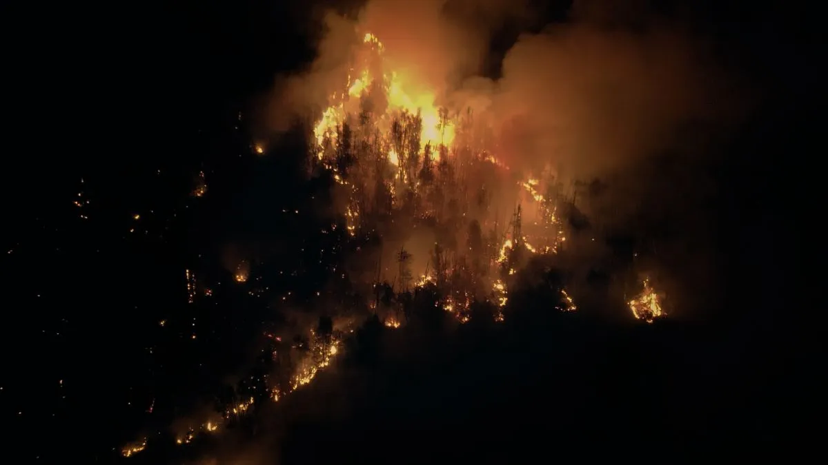CONICET lanzó serie audiovisual sobre incendios forestales en la Patagonia con imágenes de siniestros recientes