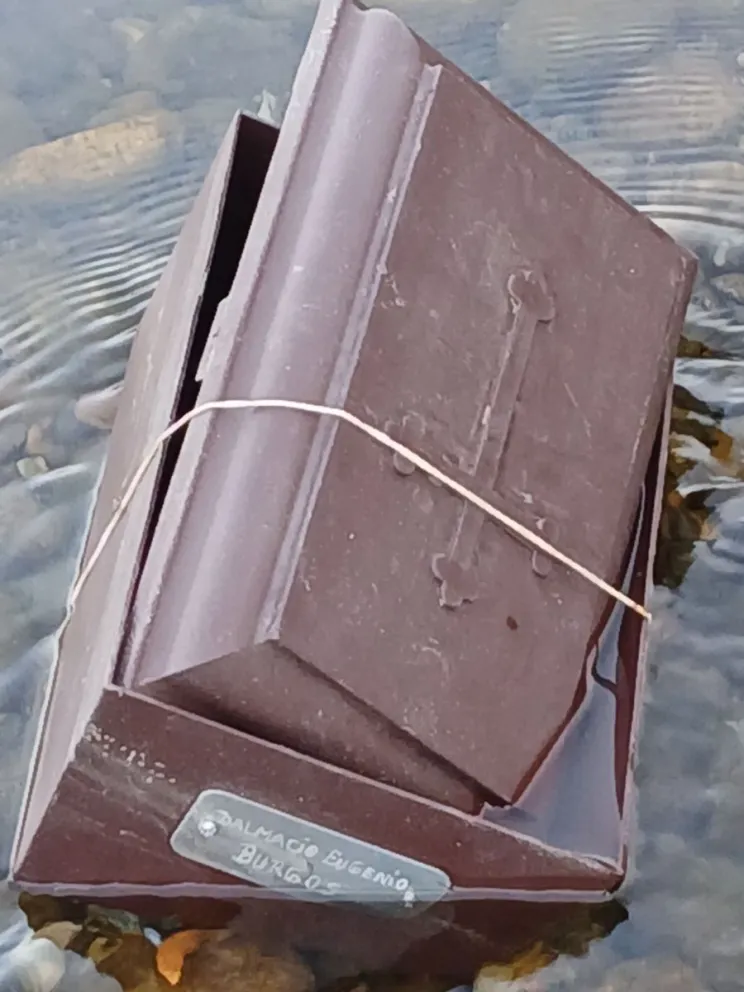 El hallazgo se produjo en pleno rio, tras la viralización aparecieron los familiares. Foto gentileza