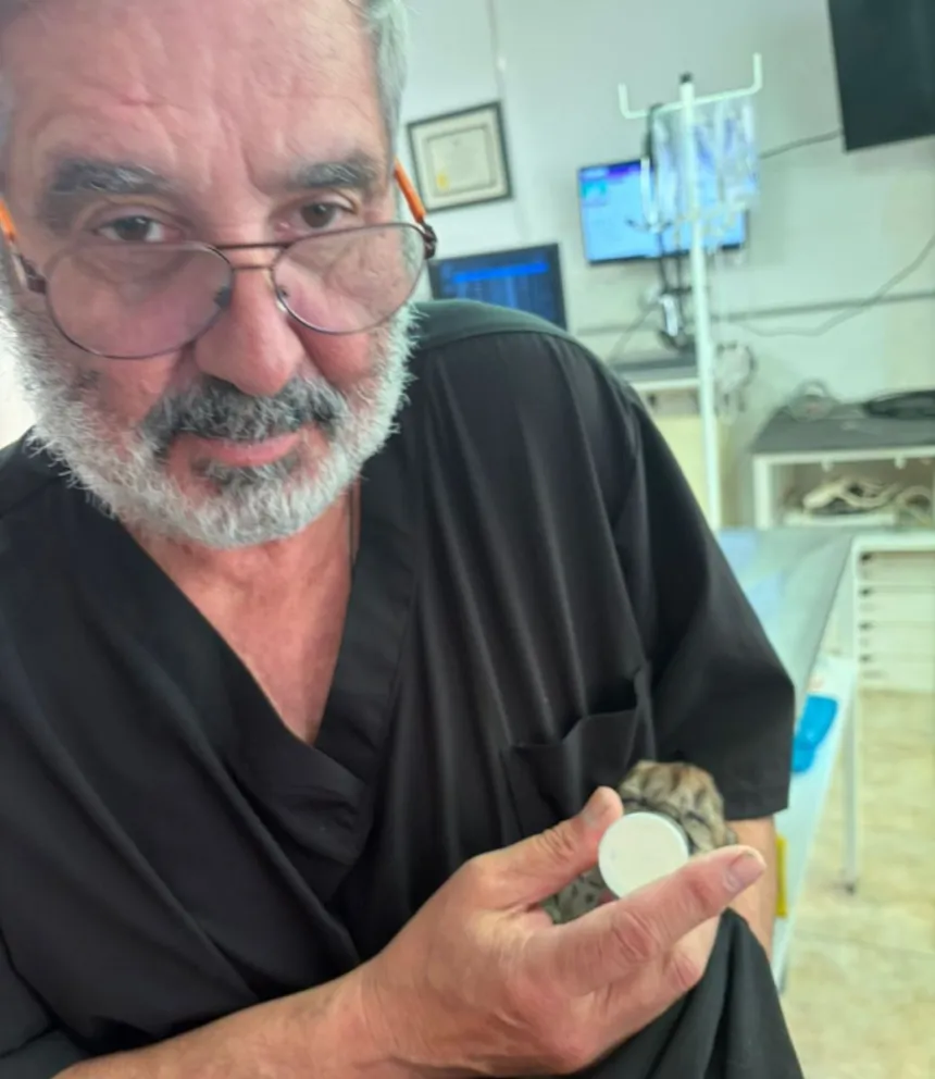 El médico de Villa la Angostura mantuvo bajo cuidado a la cría hasta esta semana. Fotos gentileza. 