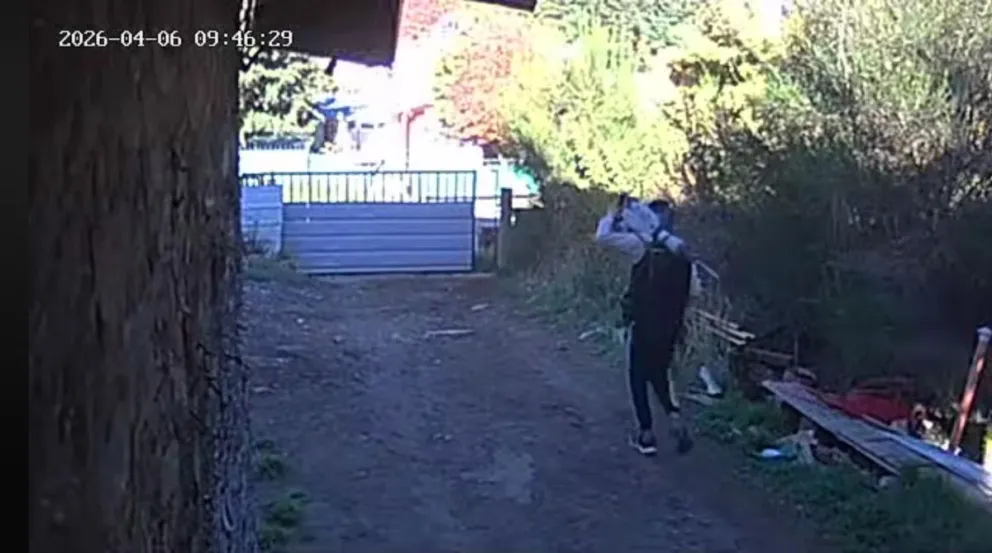 Los robos se han dado a plena luz del día. Foto: captura video 