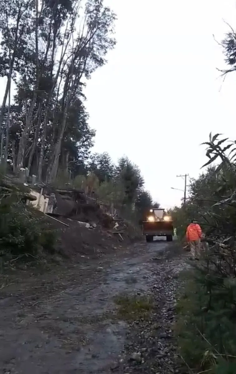 Villa La Angostura intervino árboles de riesgo en Villa Correntoso por seguridad de vecinos