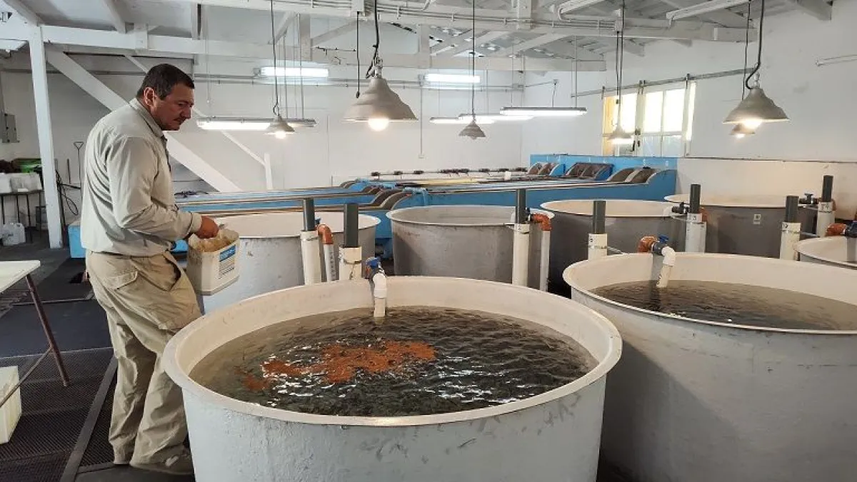 Buscan concesionarios para el Centro de Salmonicultura de Bariloche