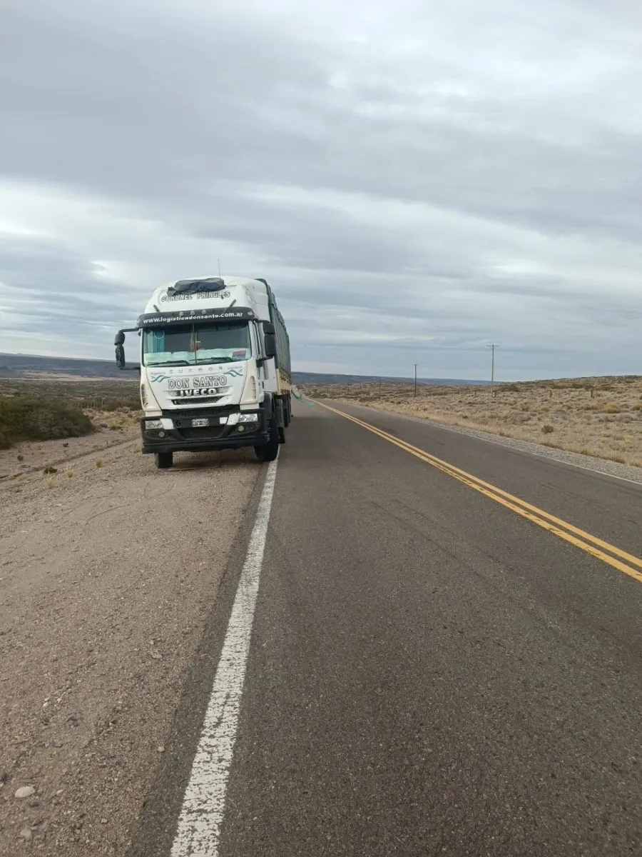 Vialidad Nacional advierte por camión detenido que complica el tránsito en la RN 237