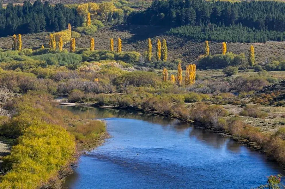 Los fondos serán destinados a la remoción y control de sauce exótico en sectores puntuales del río Chimehuín. Fotos: Gobierno de Neuquén.