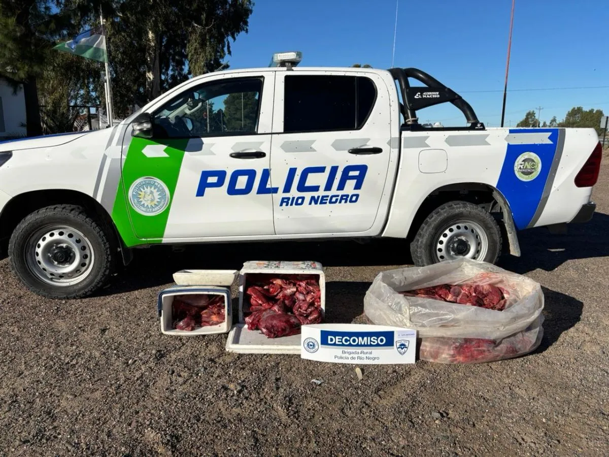 Decomisaron casi 100 kilos de carne de guanaco en un control rutinario en San Antonio Oeste