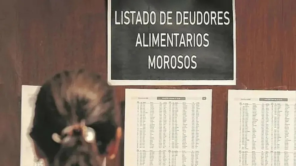 Retuvieron la licencia de conducir del hombre hasta que pague la deuda por la cuota alimentaria. Foto: ilustrativa.