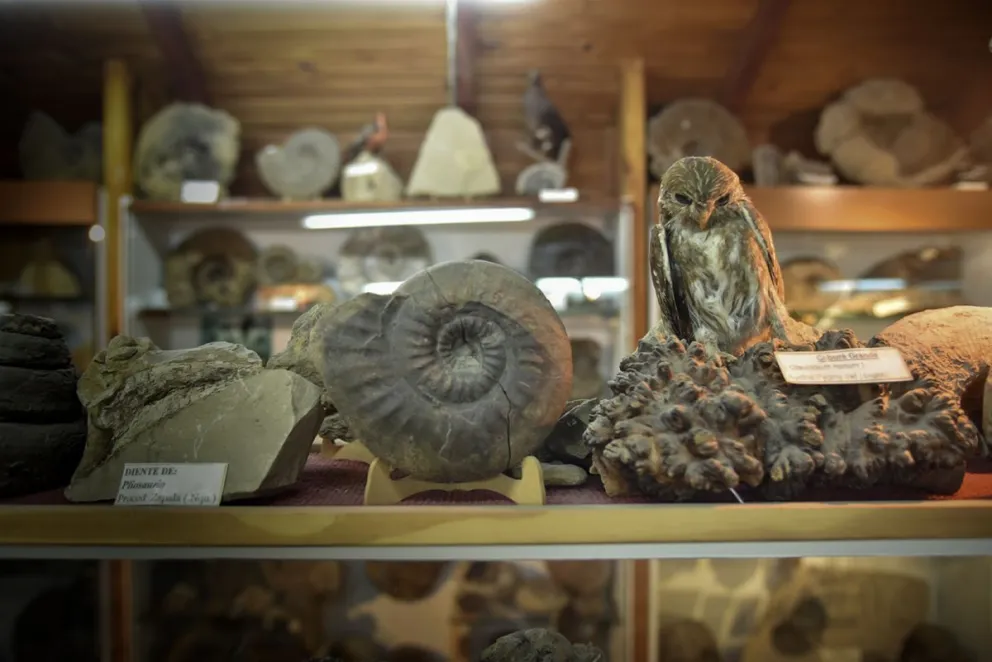 El segundo encuentro de este primer ciclo está programado para el viernes 8 de mayo, de 10 a 12 horas. Foto: Ilustrativa, Marcelo Martínez.