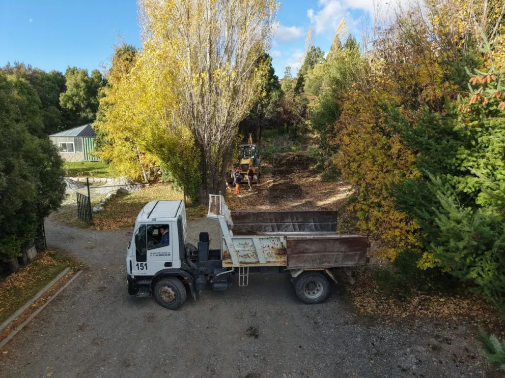 La intervención alcanza aproximadamente 170 metros en una zona de bosque.