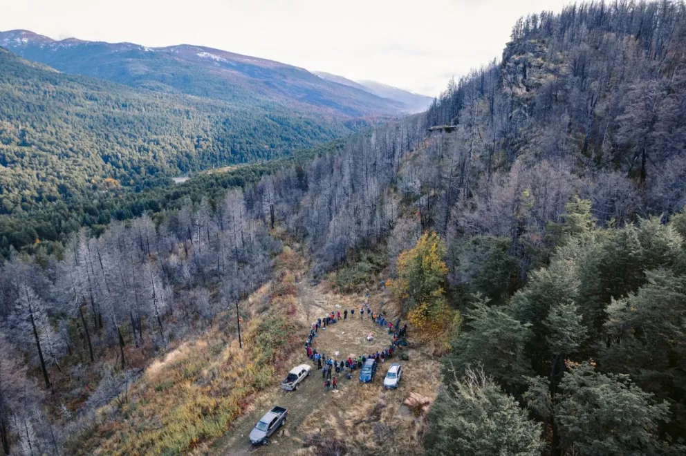 La actividad contempla la plantación de 2.000 ejemplares de árboles nativos. Fotos: Gentileza, Circuito Verde.