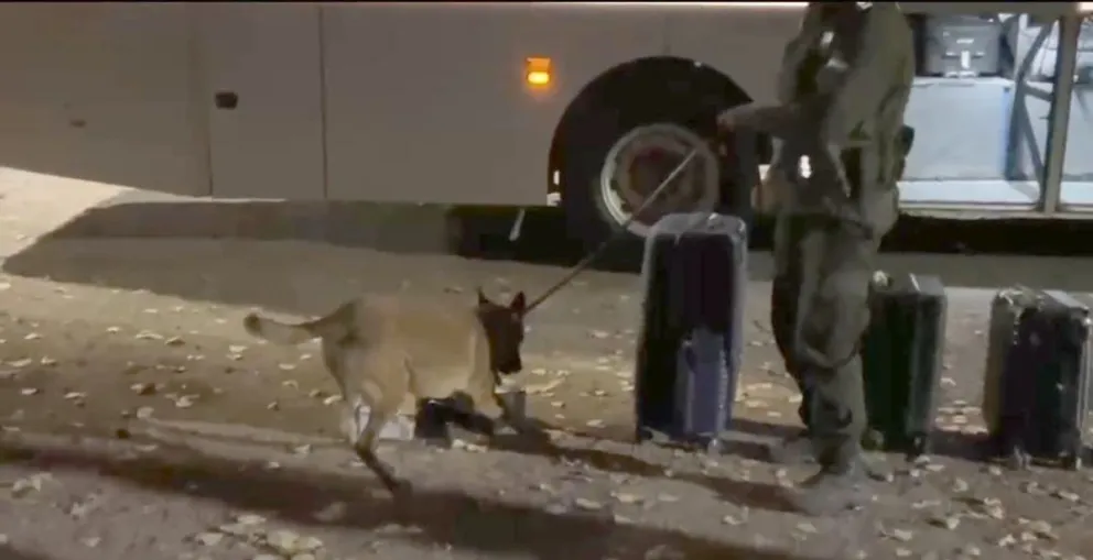 Efectivos del Escuadrón 29 “Malargüe” decomisaron marihuana.