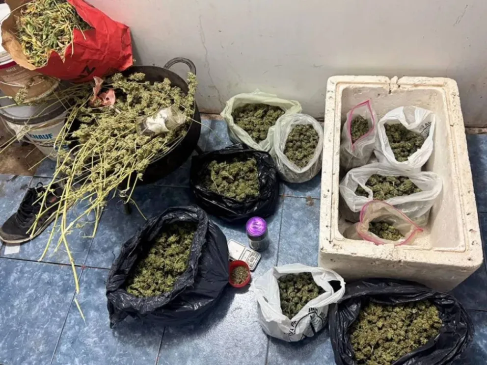 Los procedimientos se realizaron tras una minuciosa investigación. 