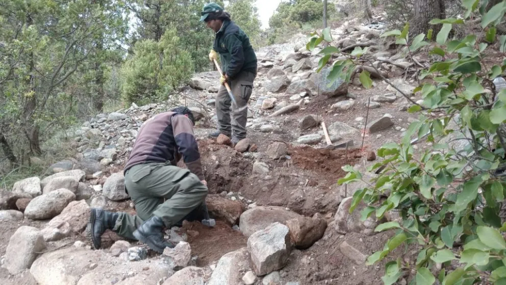 Los trabajos incluyen mejora, reacondicionamiento y mitigación de la erosión. Fotos gentileza PNNH 