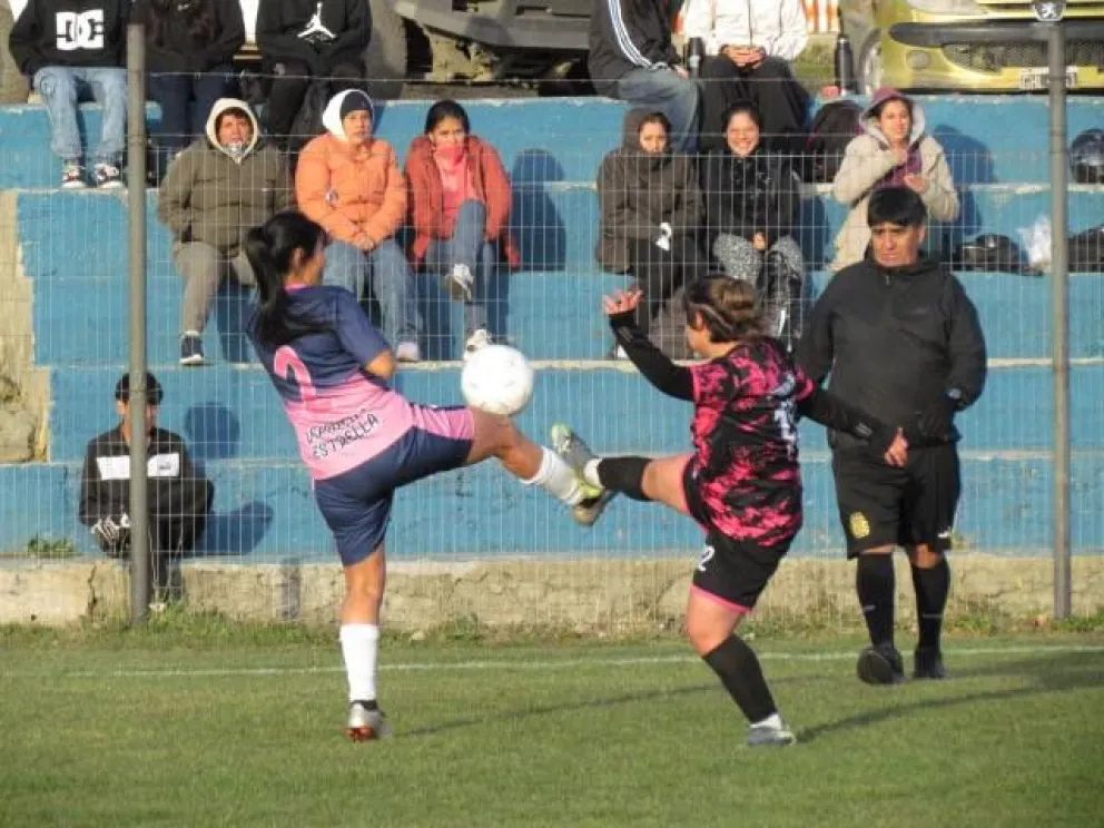 Fenix quiere volver a gritar campeón. Fotos gentileza. 