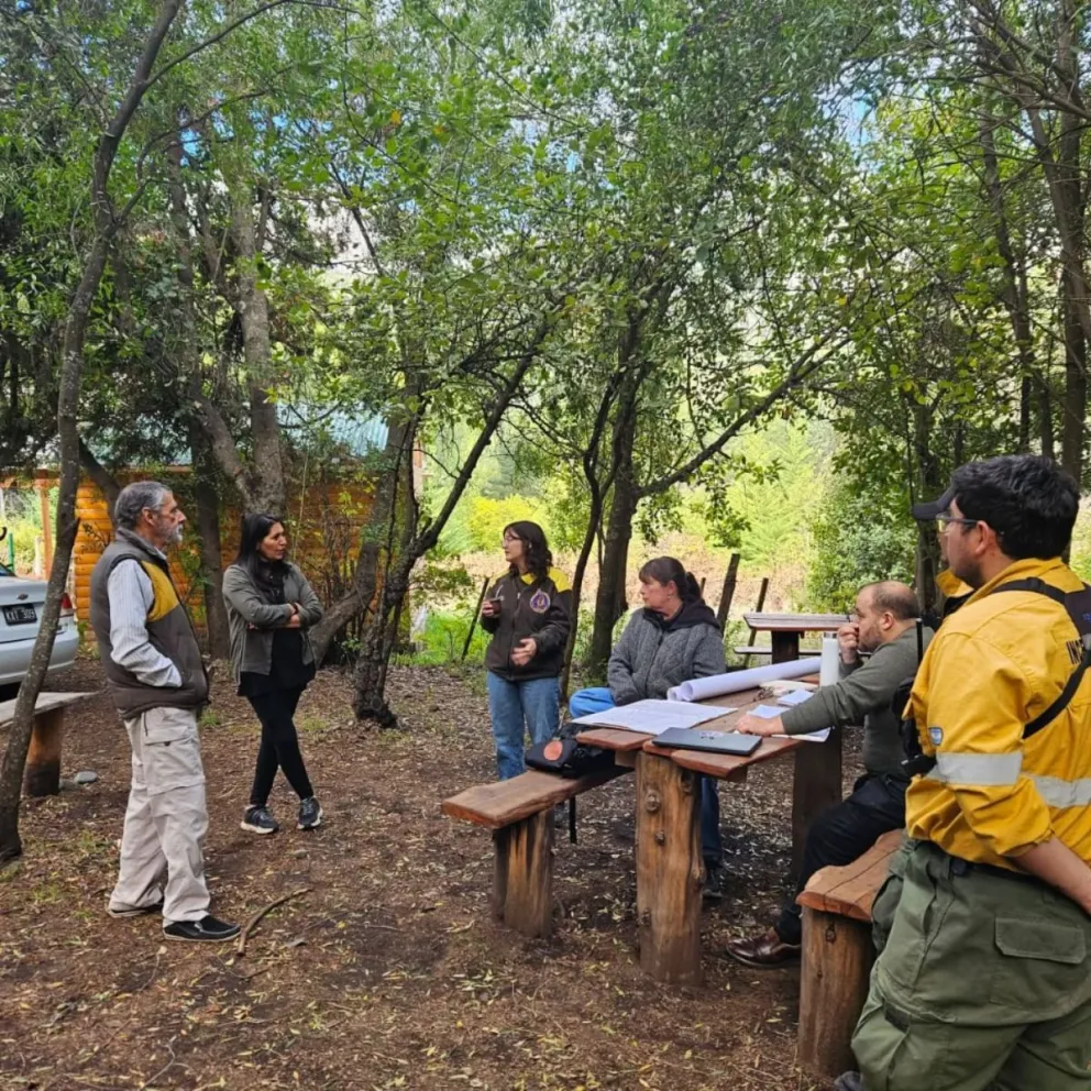 Se recepcionaron múltiples solicitudes para realizar tareas de reducción sin uso de fuego. Foto gentileza