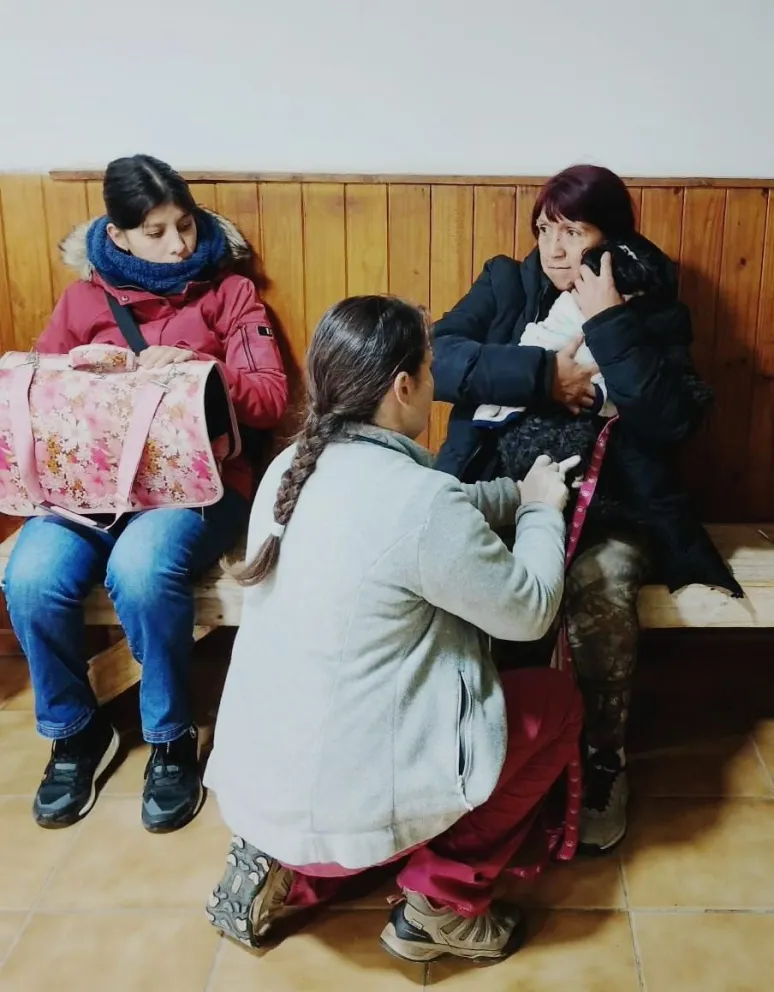 La semana se vivió con intenso trabajo en el barrio El Frutillar. Fotos: Municipalidad de Bariloche.
