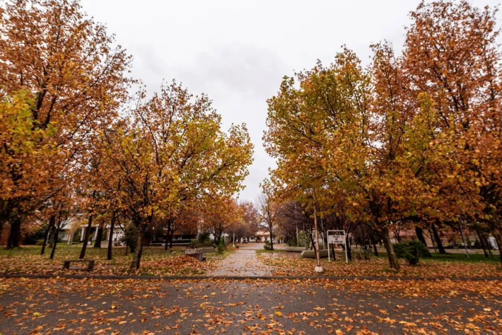 Neuquén tendrá temperaturas agradables.