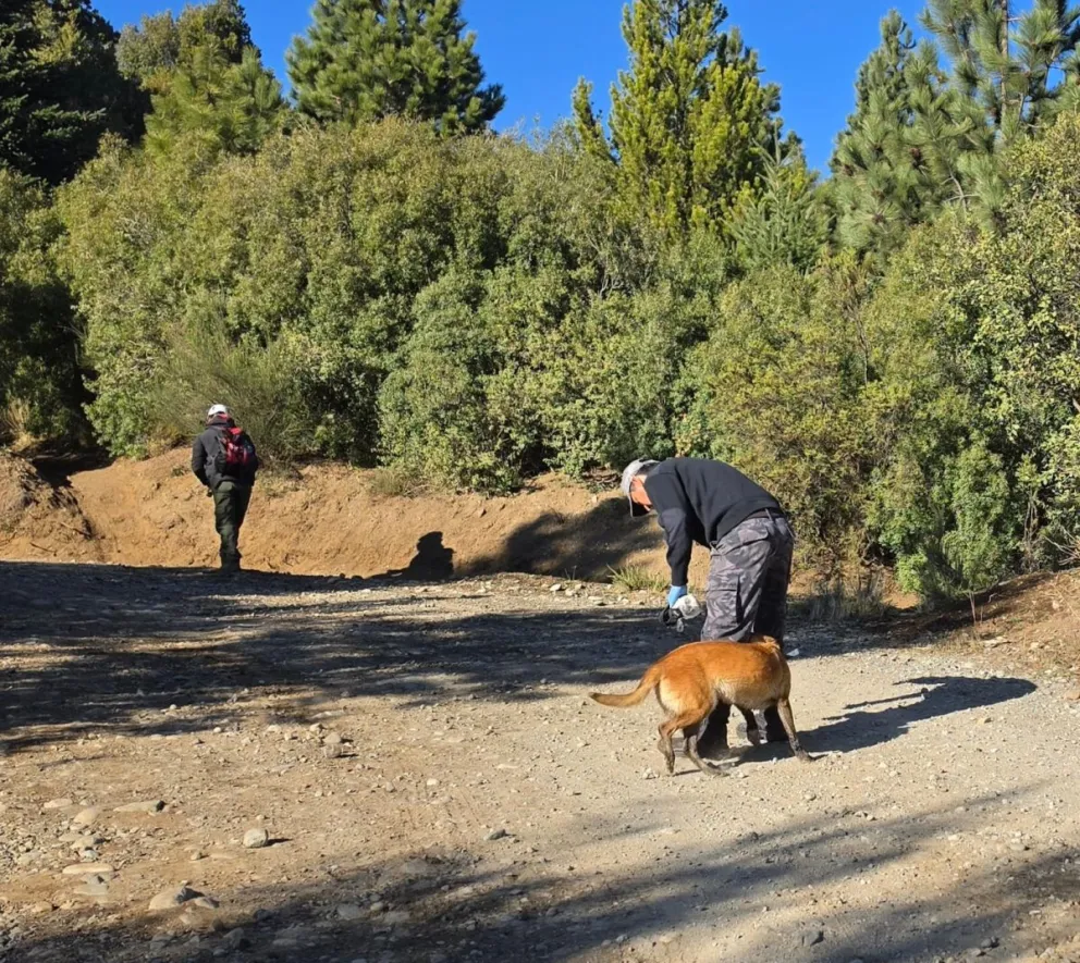 La búsqueda por estas horas está centrada en una zona de montaña amplia. Foto gentileza 