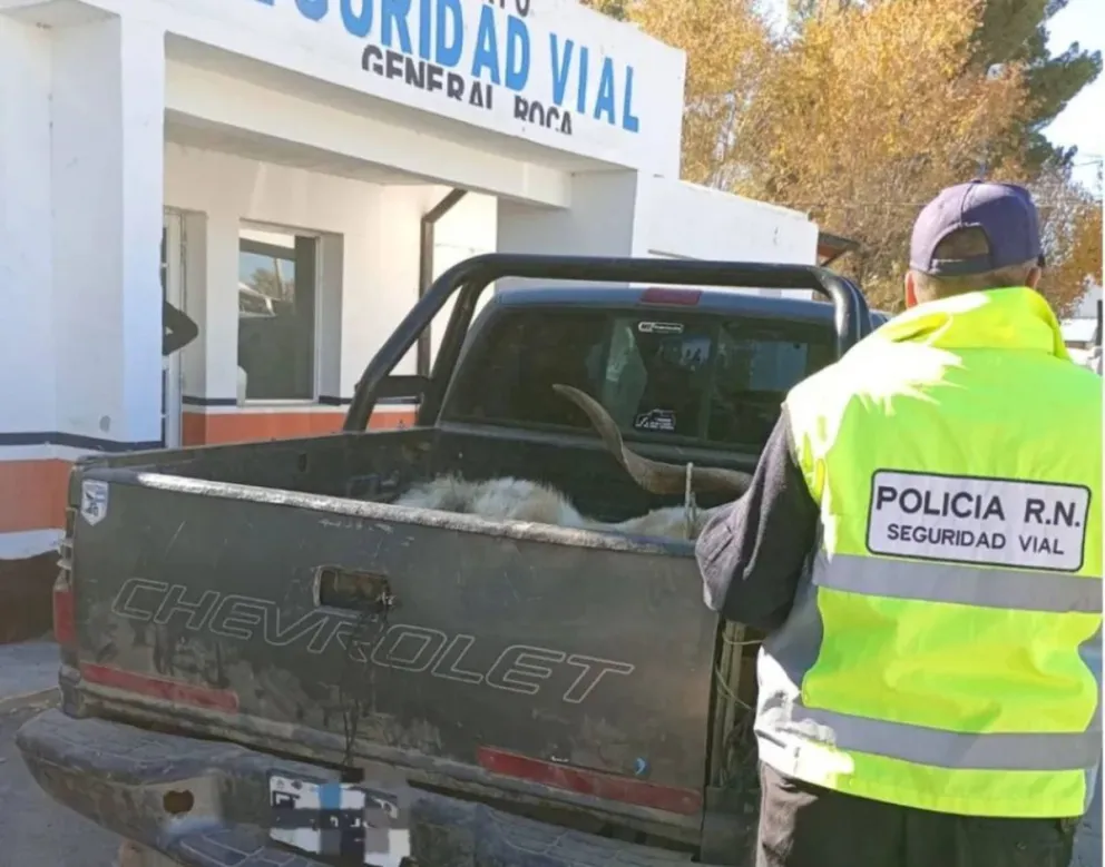 Los controles se realizaron sobre la Ruta 22. (Foto: Gentileza)
