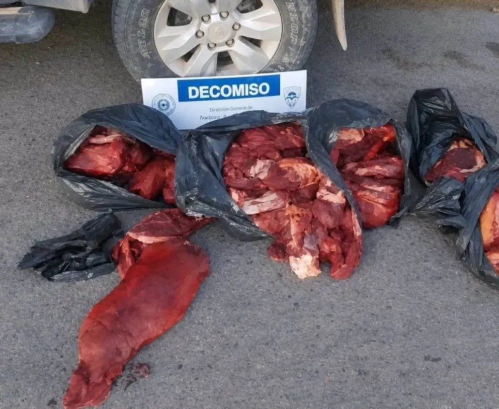 Carne decomisada e incinerada en General Roca.