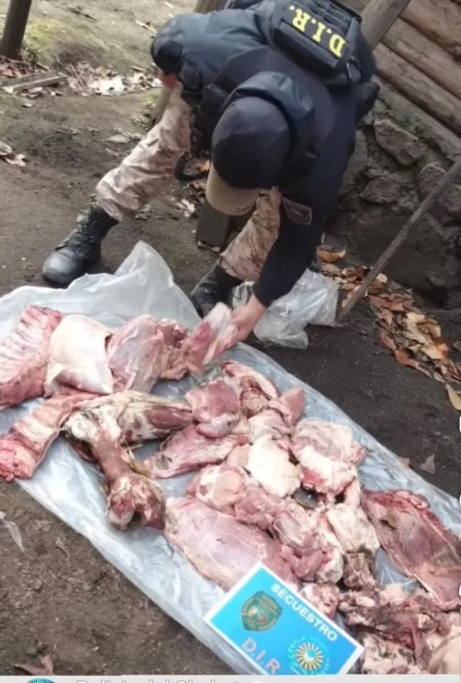 Los allanamientos permitieron encontrar carne, herramientas de corte y prendas de vestir con manchas de sangre. Foto: gentileza.