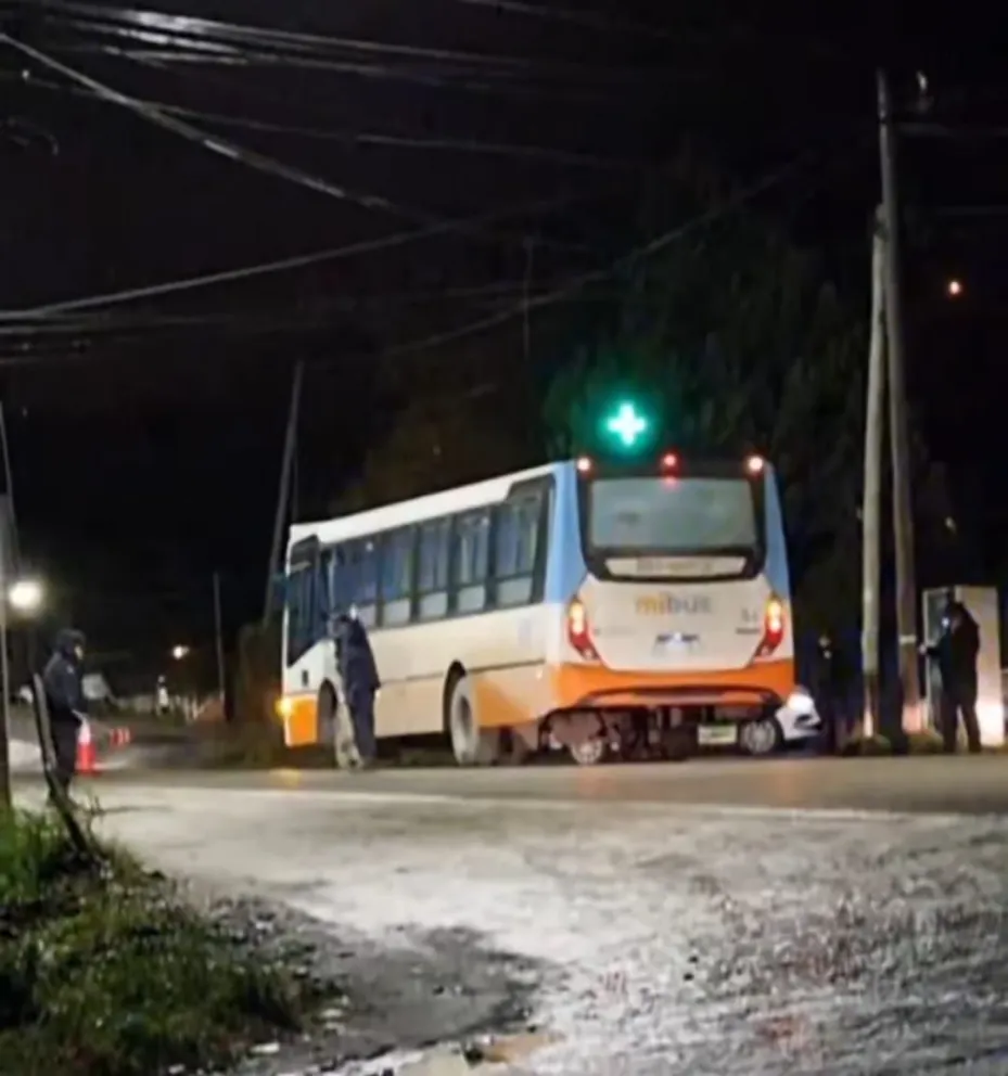 El accidente tuvo lugar alrededor de las 22 horas en el kilómetro 7.500 de Pioneros.