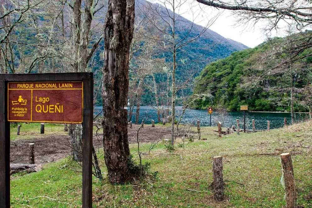 El control de especies exóticas invasoras es fundamental para sostener la recuperación ambiental del sector y la preservación del huemul. Foto: ilustrativa. 