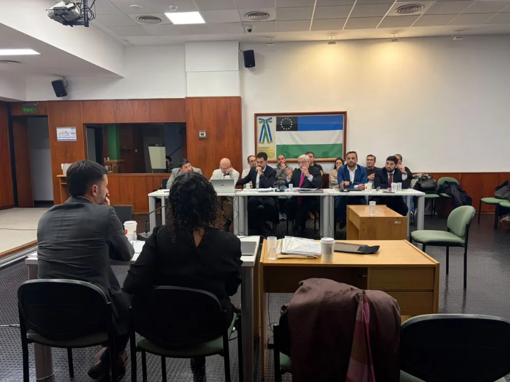 El juicio comenzó el 18 de mayo y se extendió por varios días con declaraciones de testigos y especialistas en el tema. Foto: Ministerio Público Fiscal.
