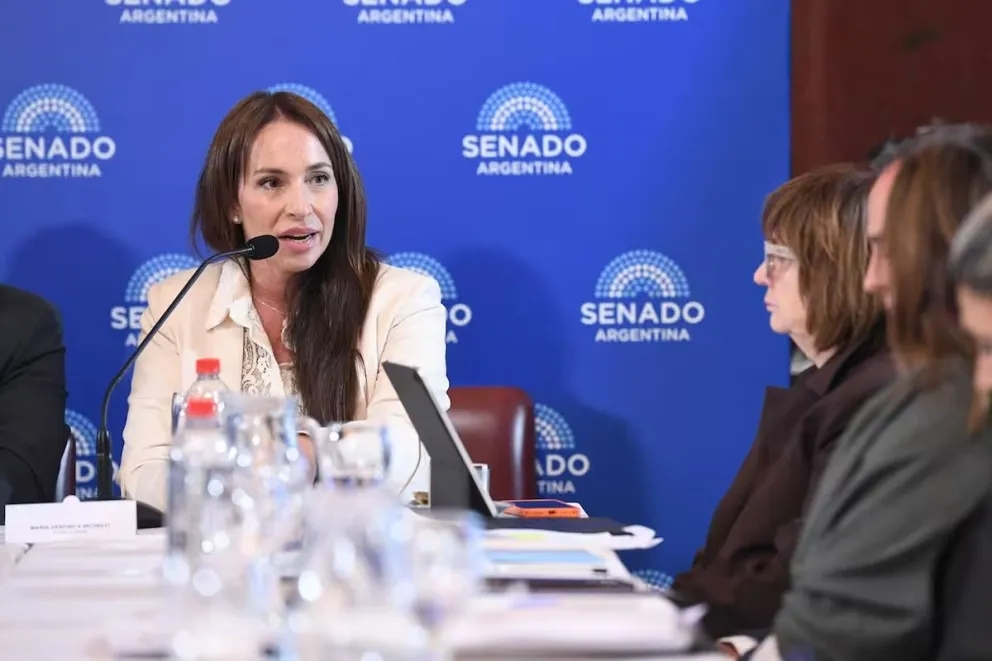 El Senado aprobó el pliego de Verónica Michelli, la candidata a jueza que Milei quiso vetar. Foto gentileza 