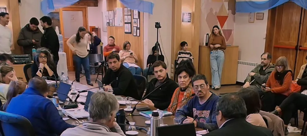 Miembros del Consejo Local Consultivo para las Personas con Discapacidad asistieron a la Comisión Legislativa del Concejo Deliberante.