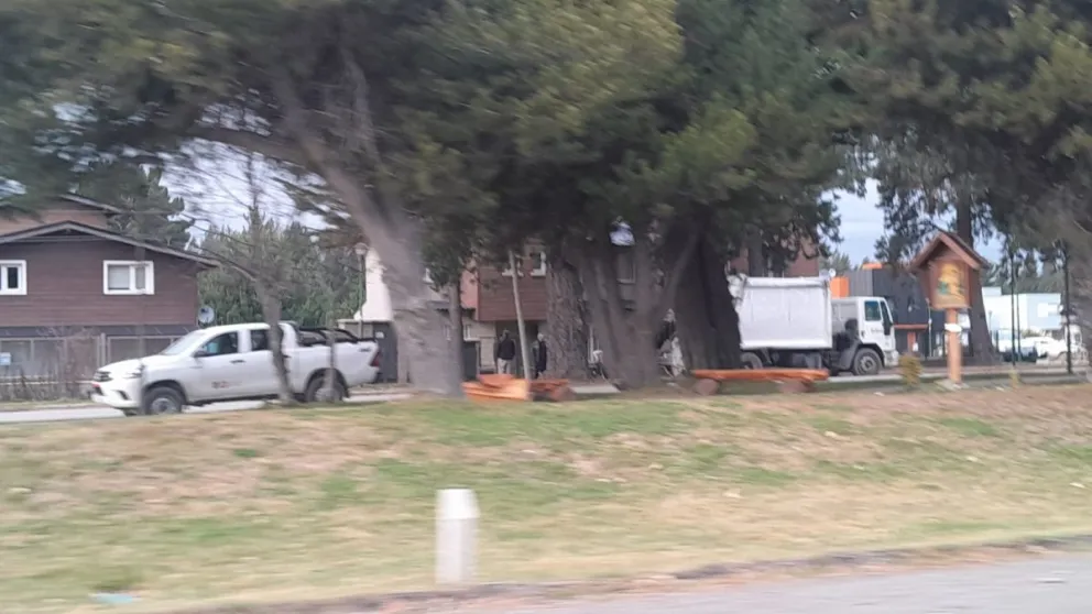 El hecho ocurrió este viernes por la mañana en la calle Entre Pinos I. Foto: gentileza.