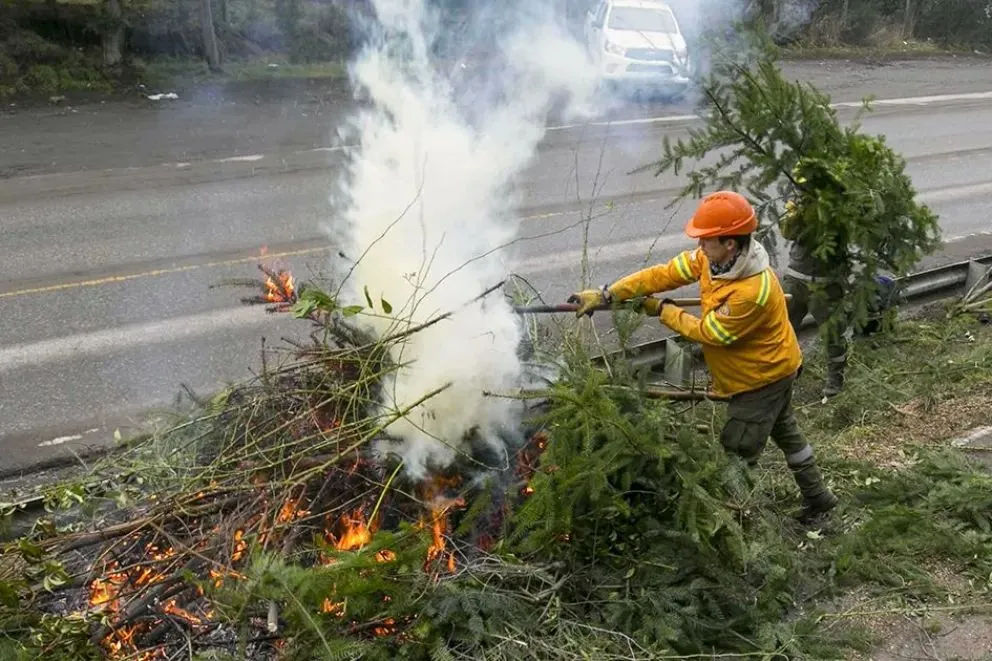 Ante cualquier emergencia, comincarse al teléfono de la Brigada de Incendios Forestales: 2994 124133.
