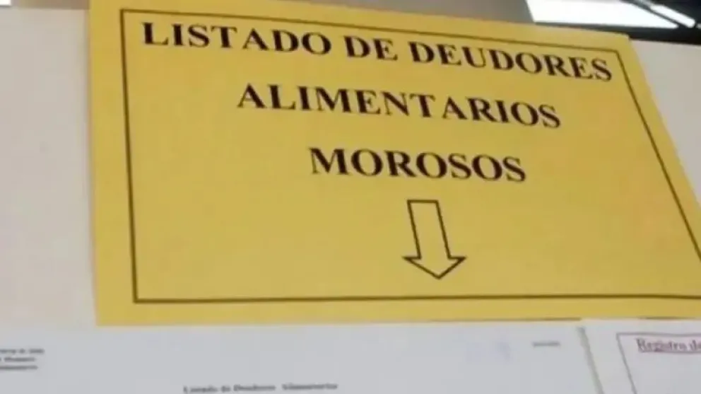 La madre solicitó a la Justicia avanzar en la inscripción de Deudores Alimentarios y la suspensión de la licencia de conducir.