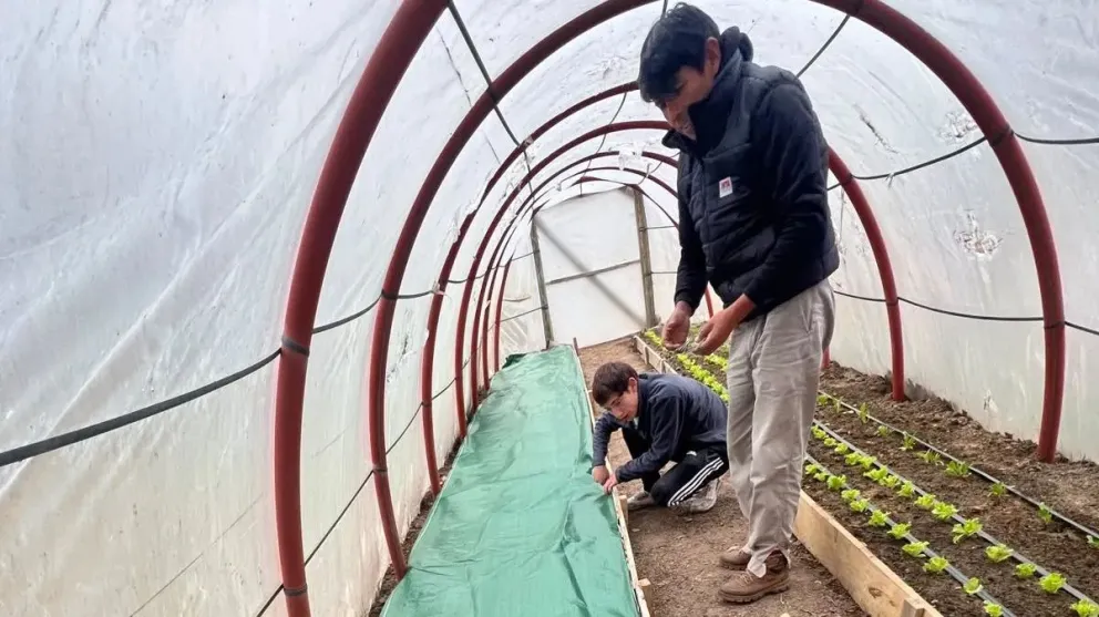 La iniciativa representa oportunidades para aprender y para fomentar el desarrollo de la comunidad.
