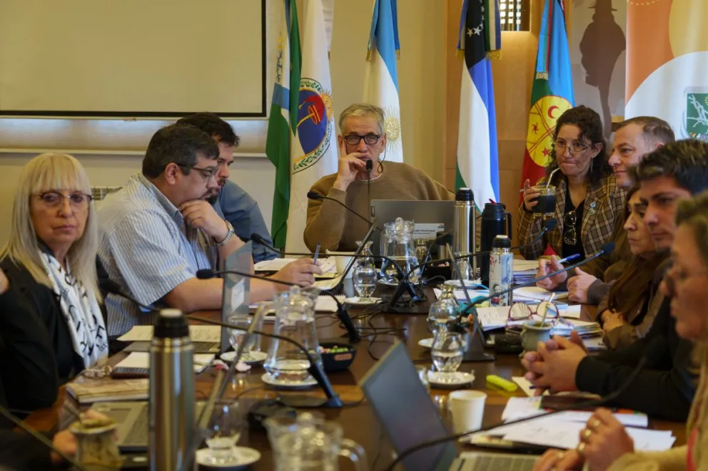 Los bloques alcanzaron la unanimidad para definir la fecha de elecciones. Foto: Marcelo Martínez