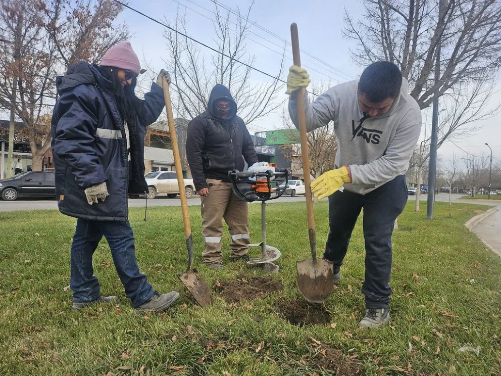 Se priorizan especies adaptadas a las condiciones climáticas de la región. Foto: Municipalidad de Cipolletti.