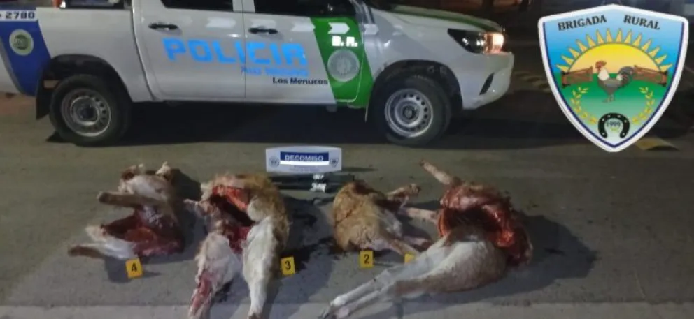 El control se realizó en la ruta 23, en cercanías a Maquinchao.