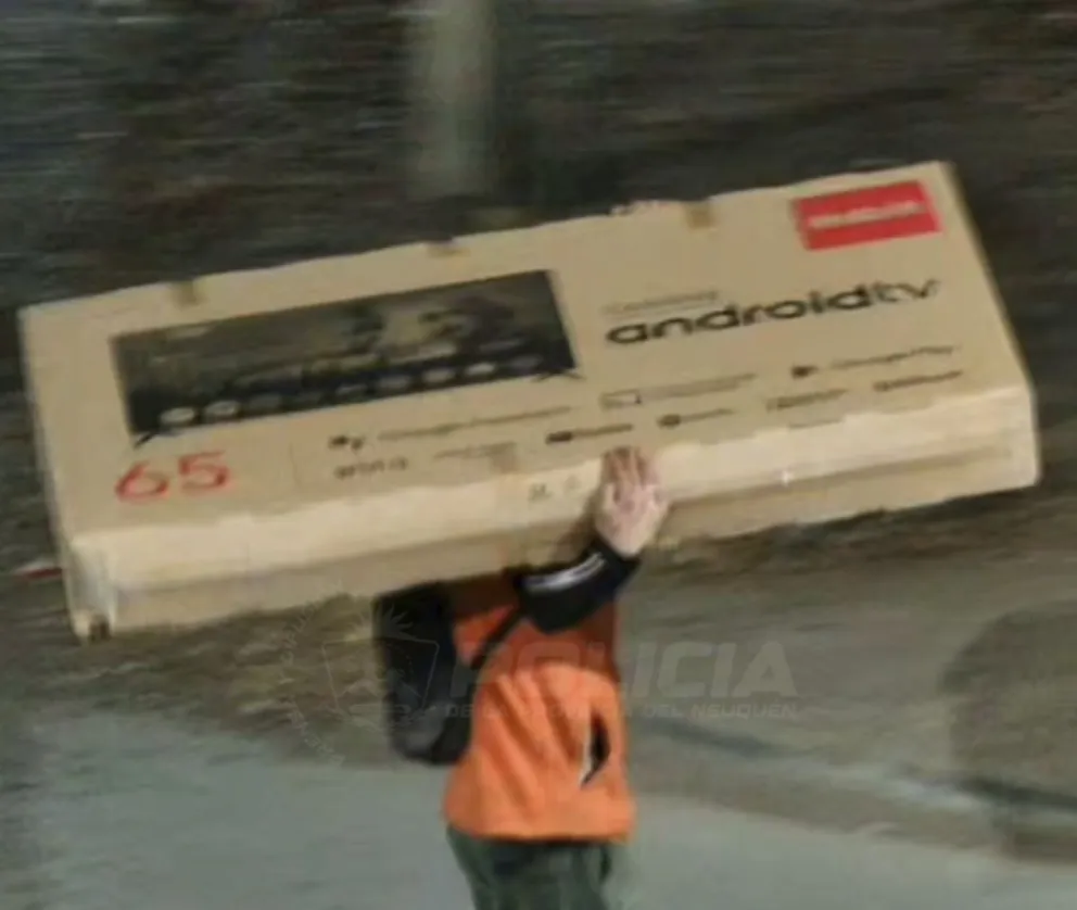 Robo de televisor en Neuquén.