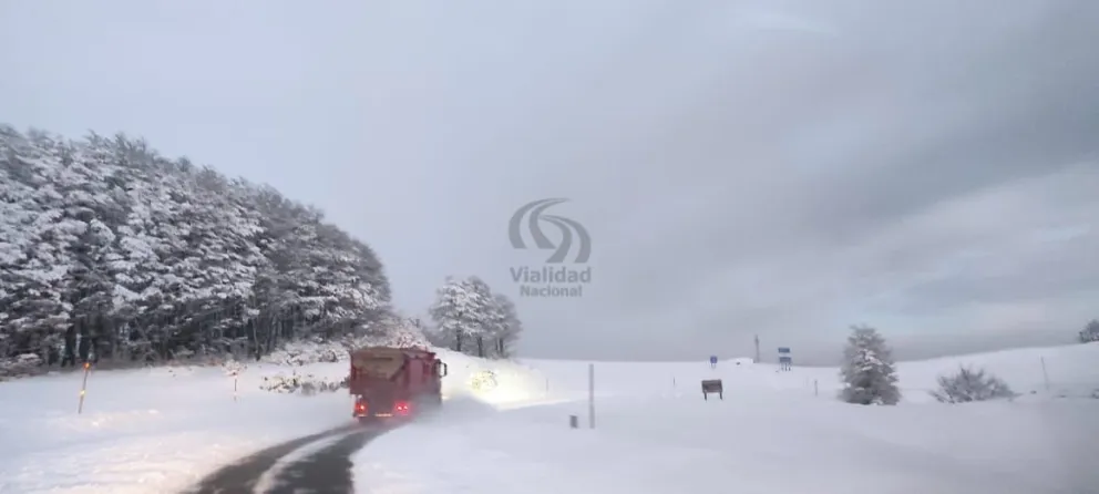 El Cardenal Samoré habilitado pero con exttrema precaución. Foto gentileza 
