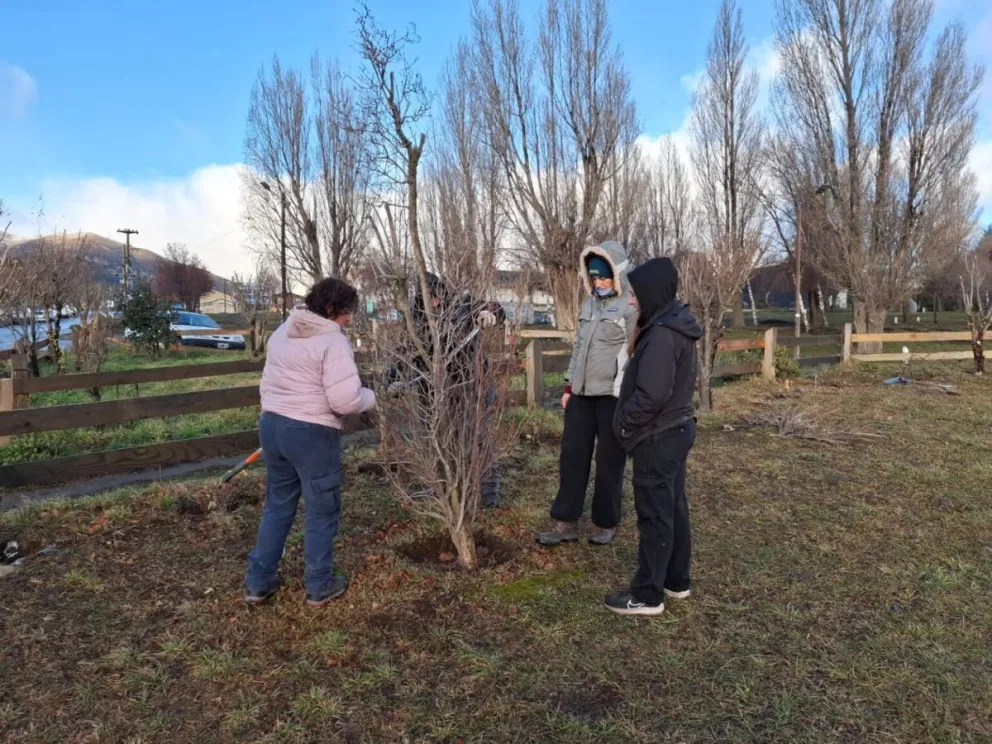 La Cooperativa Jóvenes por Bariloche continuará con el recambio de tablas del cerco perimetral y tareas de pintura. Fotos: Municipalidad de Bariloche