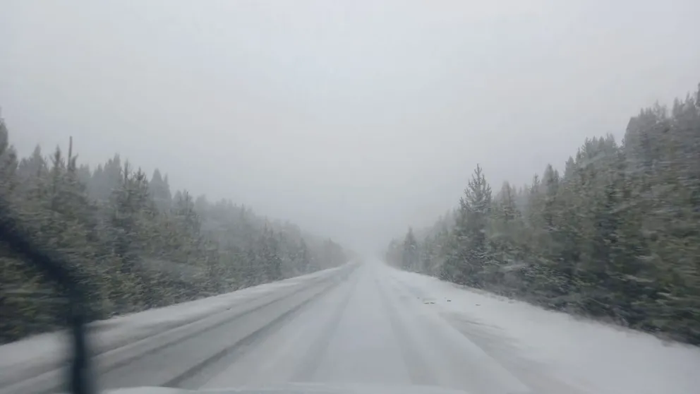 Solicitan extrema precaución al transitar por la ruta que une ambas ciudades. Foto gentileza Vialidad Nacional