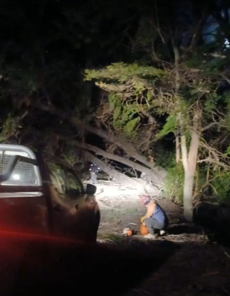 El viento generó complicaciones en la vecina localidad. Fotos: Municipalidad de Villa La Angostura.