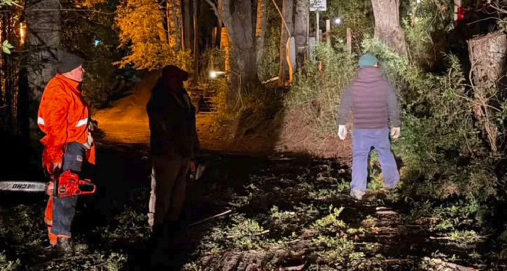 La guardia de la Subsecretaría de Parques y Jardines, que trabajó en el despeje de un pino caído en una plaza del barrio La Colina. Fotos: Bariloche Informa.